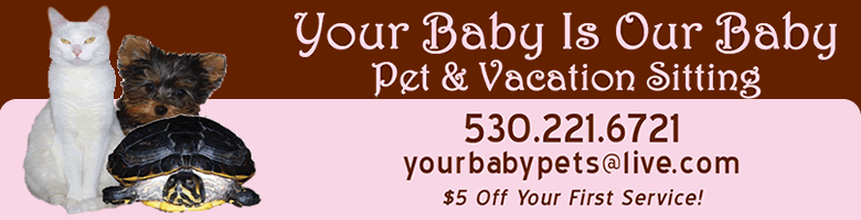 Your Baby is Our Baby Pet and Vacation Sitting